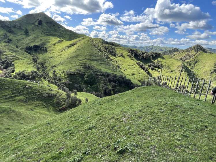 166 Saddler Road Ruapehu_20