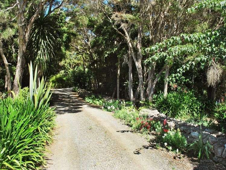 617 Norfolk Road Upper Plain_23