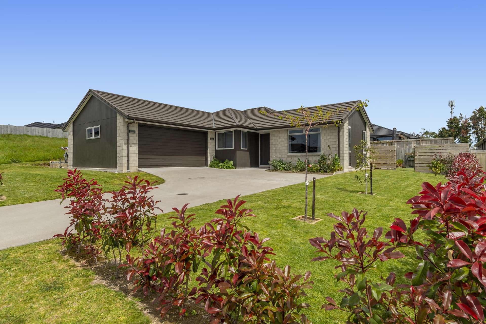 4 Madeleine Place Omokoroa_0