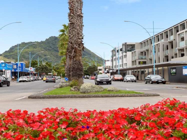 1/281 Dp Maunganui Road Mount Maunganui_13