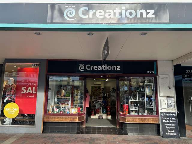 223-225 Emerson Street Napier Cbd_1