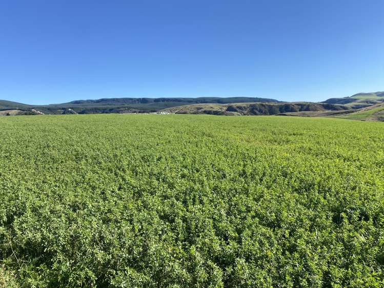 189 Pringles Road Green Valley_2