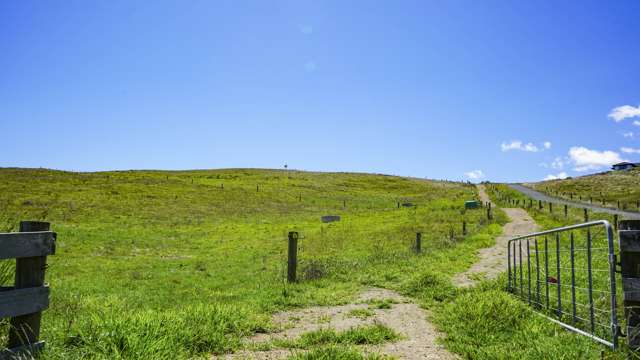 361 Martin Road Waerenga_1