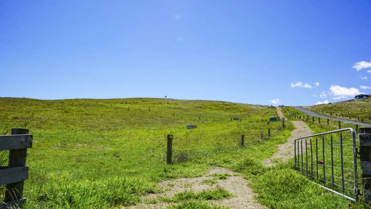 361 Martin Road Waerenga_1