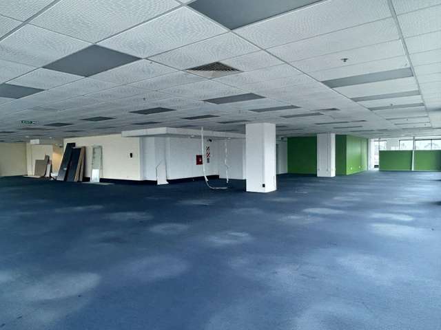 218 Anglesea Street Hamilton Central_2