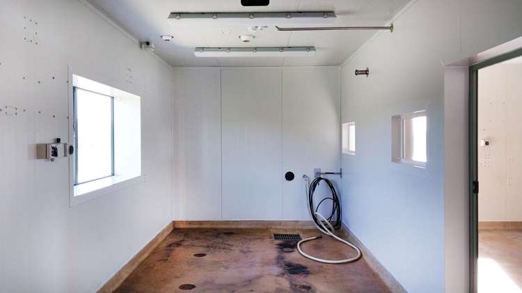 131 Richards Road Te Kowhai_11