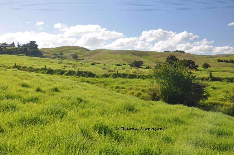 113 Te Rawhiti Road Matakohe_61