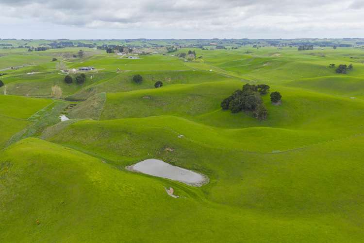 234 Sandon Road Feilding_18