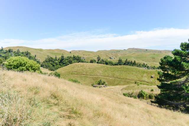 1283 Maraetotara Road Central Hawkes Bay Coastal_1