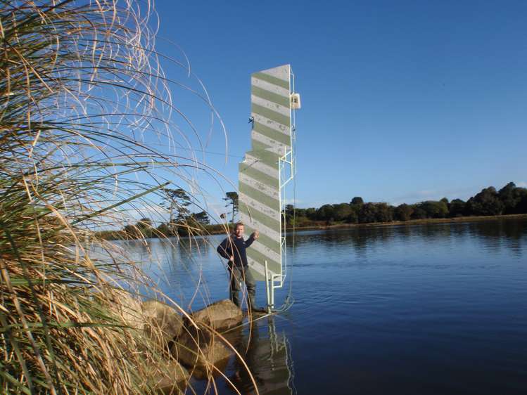 31 Glasseye Drive Kahurangi National Park_13