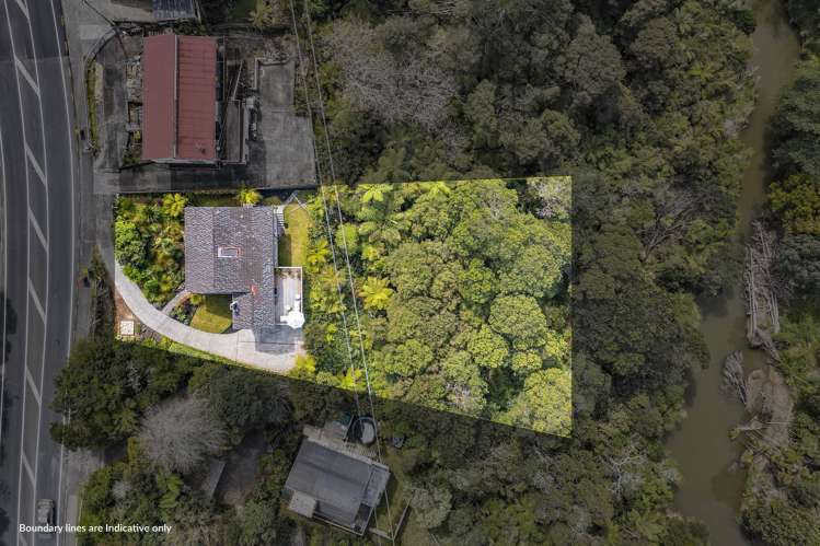 61 Don Buck Road Massey_18