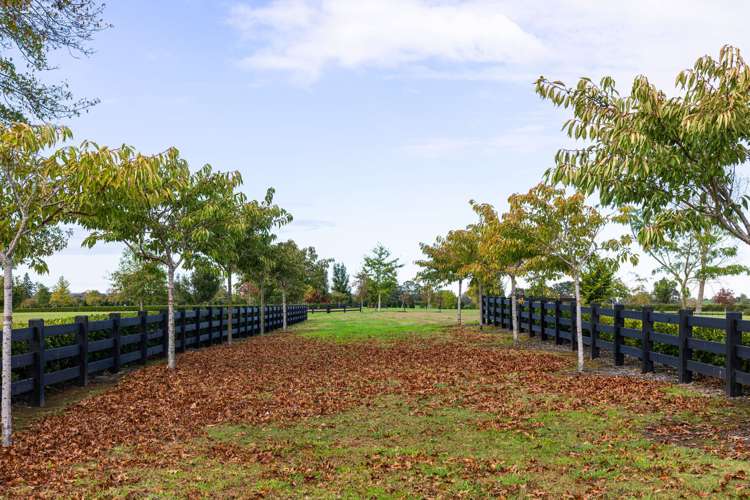 - Highgrove Station Road Matamata_27