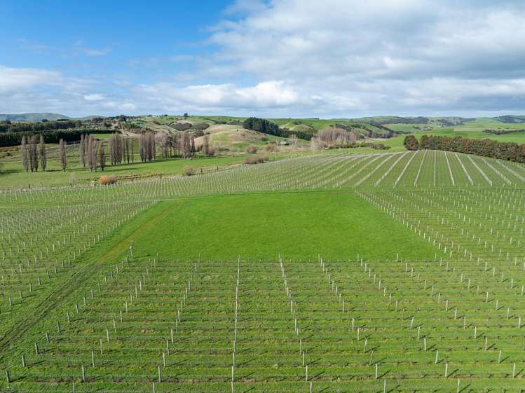 Lot 3 Willow Lane Martinborough_6