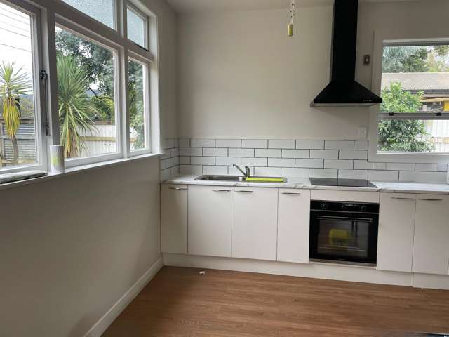 113 Revans Street Featherston_1