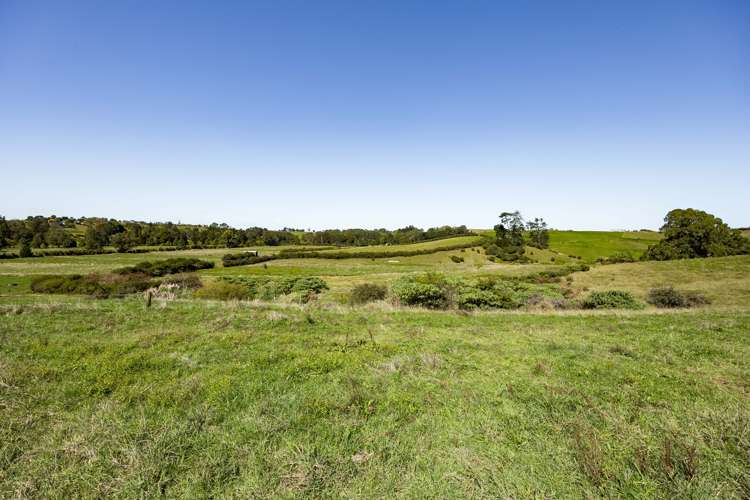 679 State Highway 23 Whatawhata_8