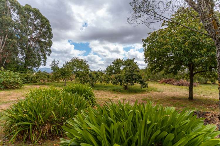 1776 State Highway 2 Tauwharenikau_14