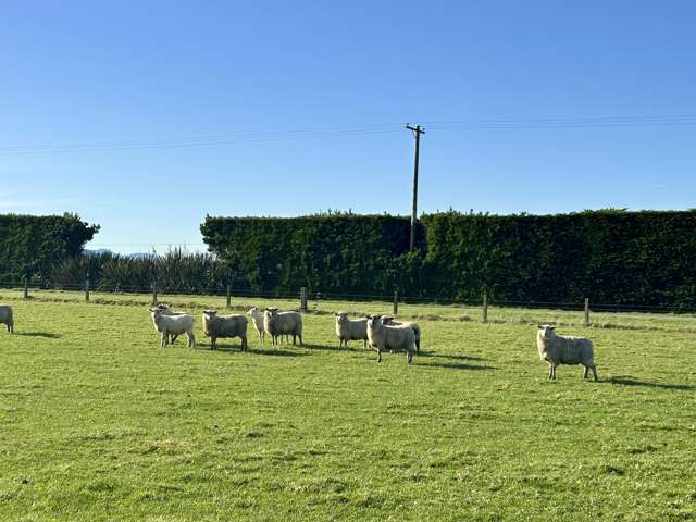 748 Makarewa Browns Road Ryal Bush_3