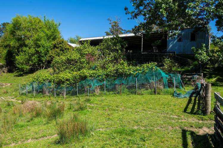 150 Waiomoko Road Whangara_24