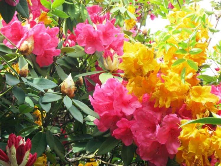 70 Woodills Road Akaroa_16