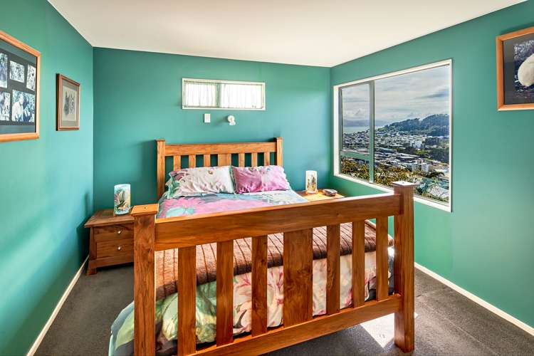 2 Pearce Street Vogeltown_8