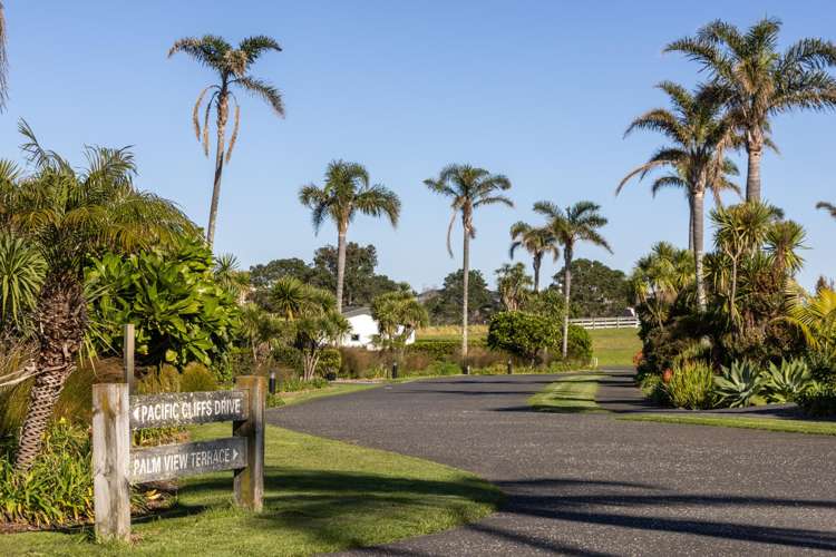 4 Palm View Terrace_4