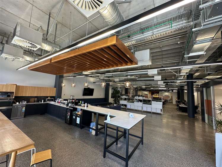 22 Pollen Street Ponsonby_3