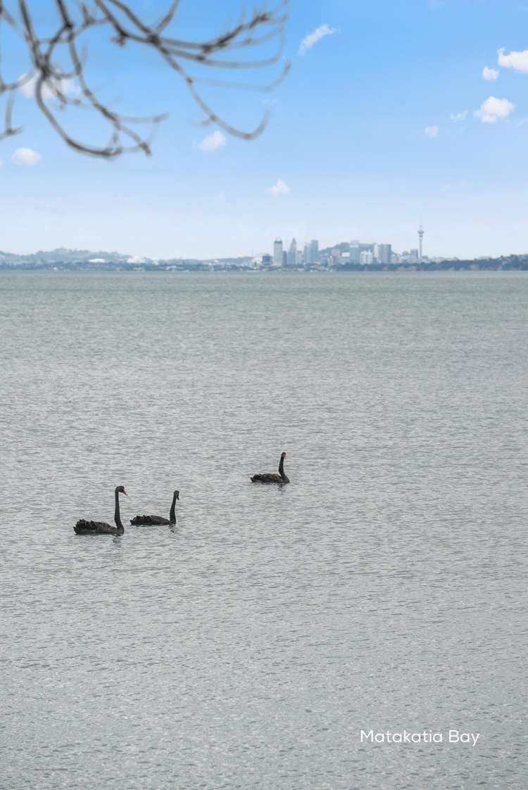 1/5 Zita Avenue Matakatia Bay_30