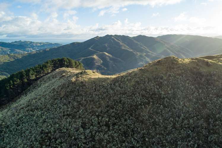 200 Parkvale Road Wilton_9