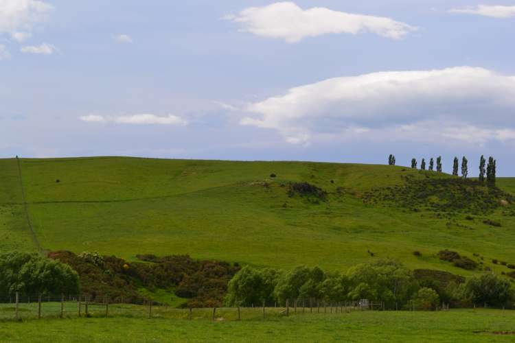 600 Island Stream Road Five Forks and Surrounds_16