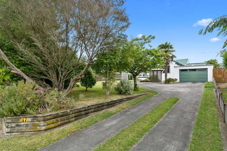 37 Clothier Street Putaruru_15