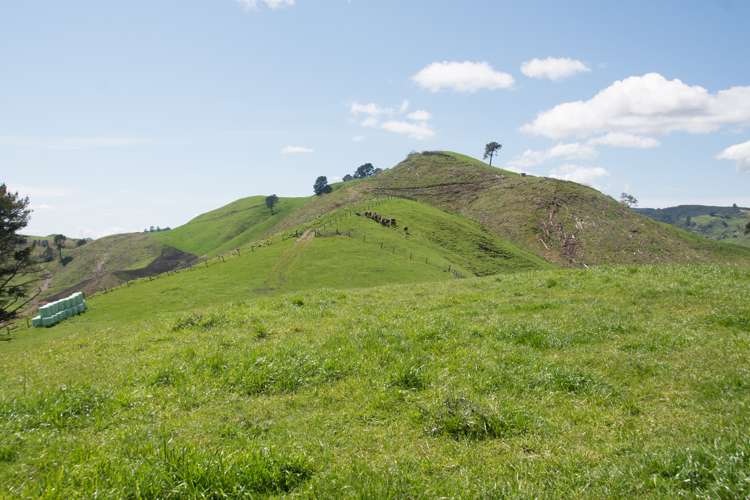 44 Coates Road Waikite Valley_11