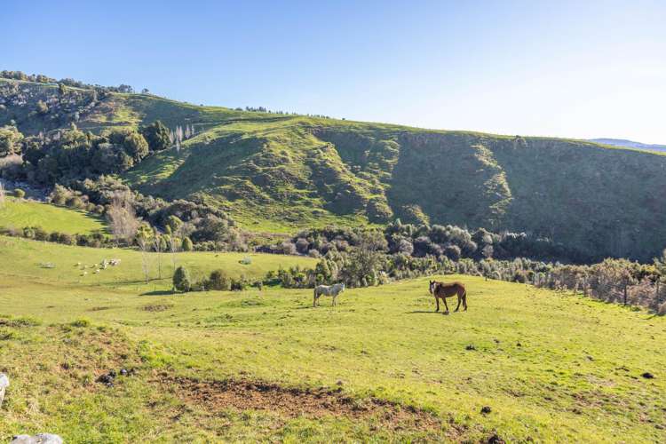 416 Corcoran Road Te Pahu_33