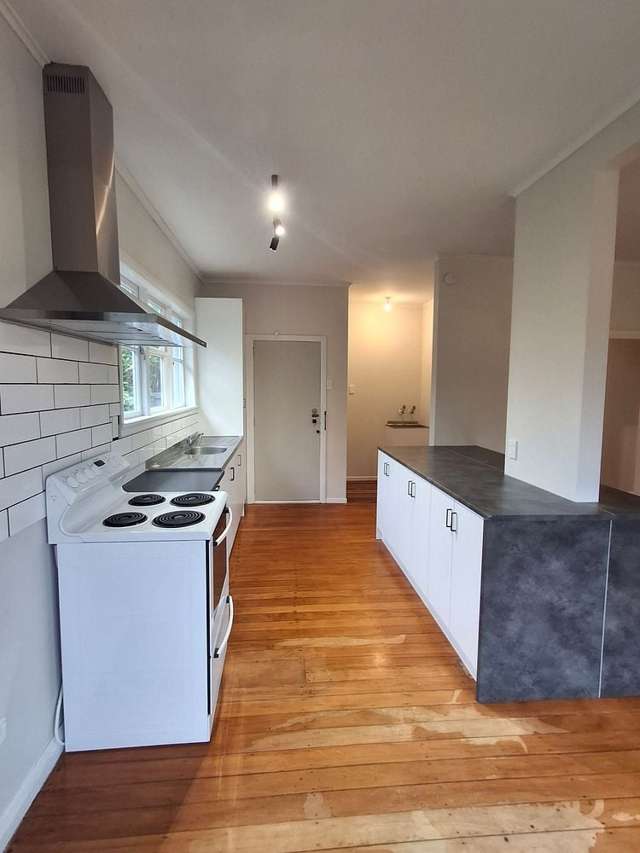 33 Bledisloe Terrace Hamilton East_1