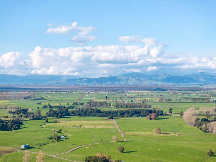 7 Rimu Street Tahuna_23