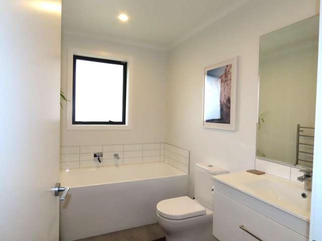 102 Hinemoa Street Levin_3