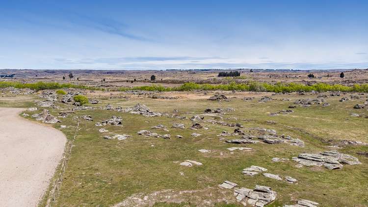 5622 Middlemarch-Sutton Road Middlemarch_22