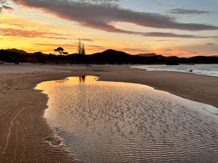 21 Sandhills Road Great Barrier Island_11