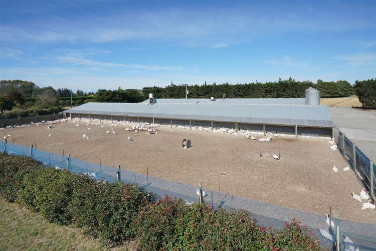 4 Logans Road Swannanoa_32