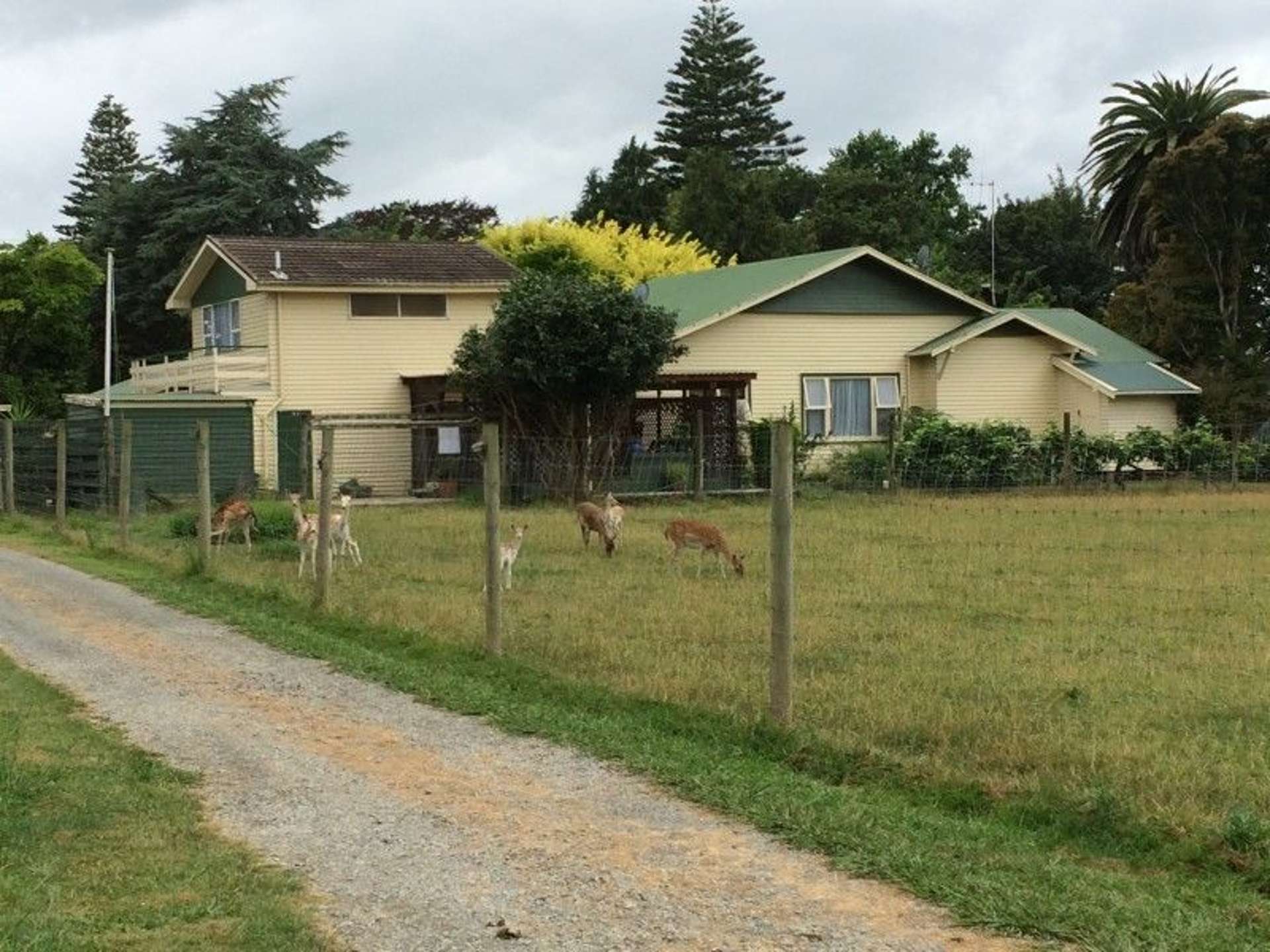 7 Atkins Road Otaki_0