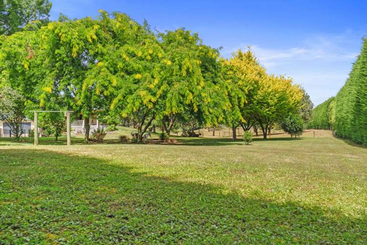 3/53 Brotherhood Road Kihikihi_20