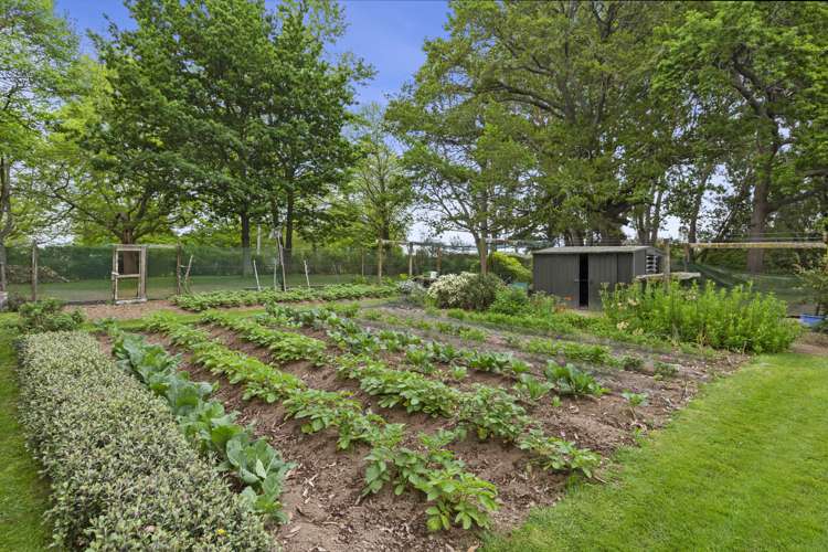 253 Kaipaki Road Ohaupo_19