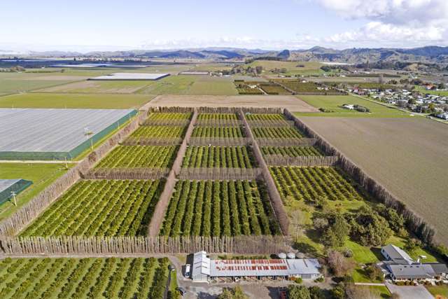 64 Cemetery Road Patutahi_4