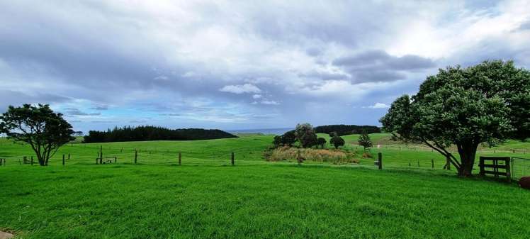 1265 Babylon Coast Road, Mamaranui Dargaville_32