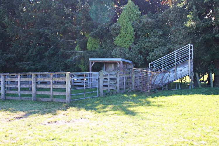 691 Gillespie Road Manapouri_16