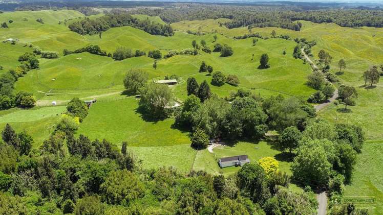 21A Hamilton Road Lake Rotoma_17