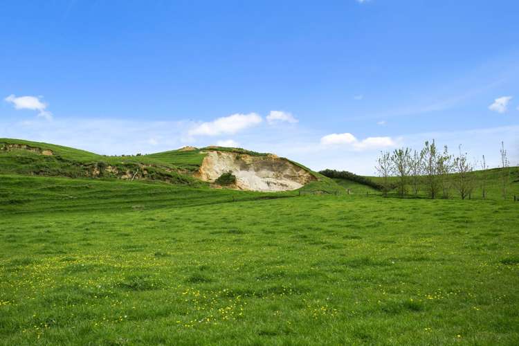 1084 Tower Road Turangaomoana_11