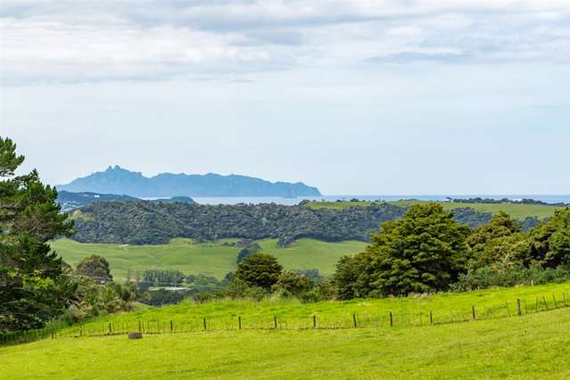 15 Lawrence Road Tuakau_2