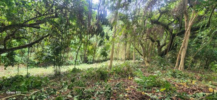 Lot 11 Raintree Estate, Oneva Savusavu_9