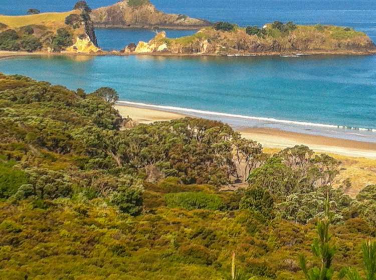 137 Sandhills Road Great Barrier Island_29