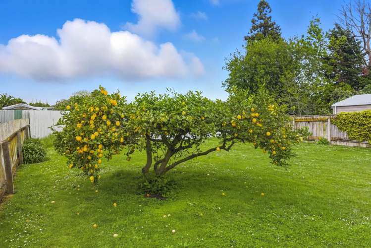 4 Julyan Street Shannon_12